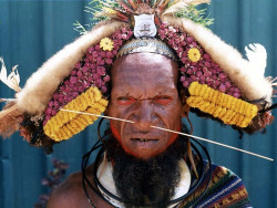 3Holding onto tradition in Papua New Guinea 800