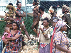 174 Milling around at Mt. Hagen 800