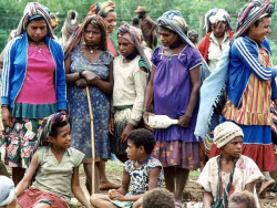 178 A gathering of girls 800