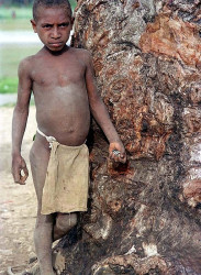 39 The Whole World 800