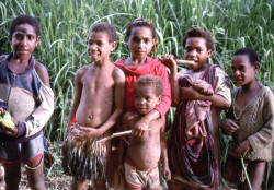 42 Group of Small Children on the side of the Road 800