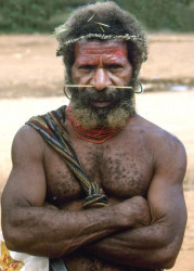 65 Warrior in the Southern Highlands 800