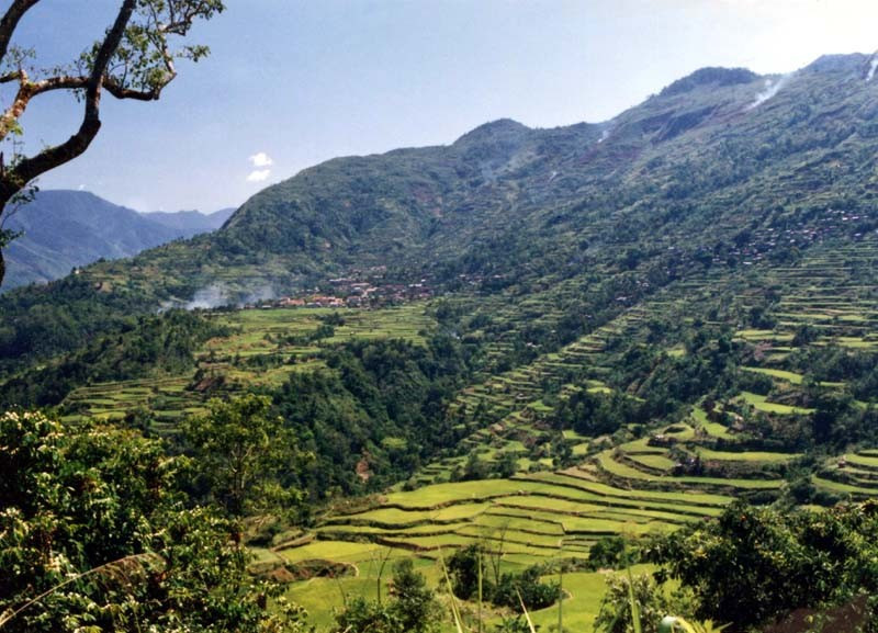 56 Mountainside covered by rice terraces on Luzon Island in the Philippines 800