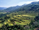 66 4000 year old terraced mountainside on Luzon Island of the Philippines 800
