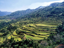66 4000 year old terraced mountainside on Luzon Island of the Philippines 800