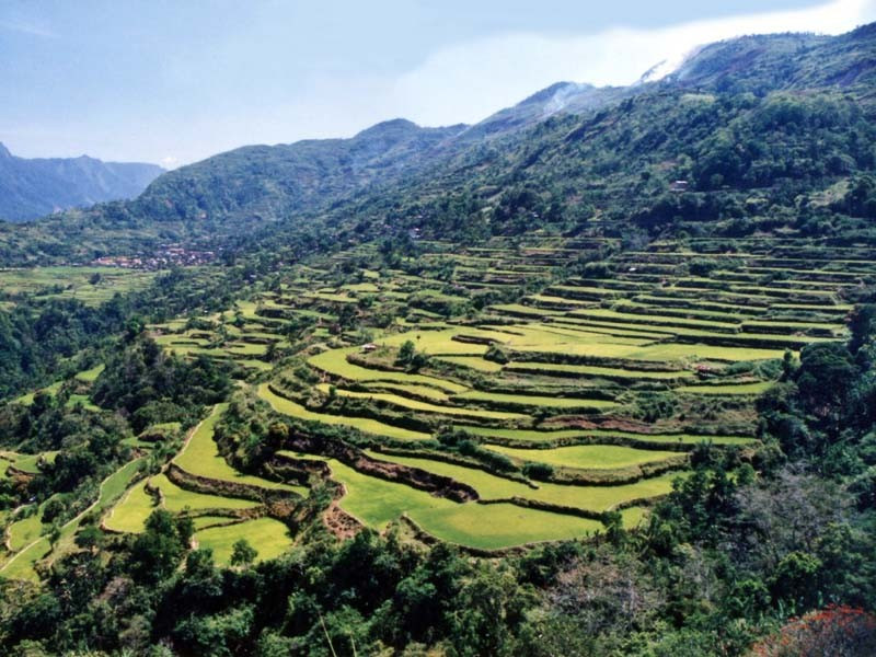 66 4000 year old terraced mountainside on Luzon Island of the Philippines 800