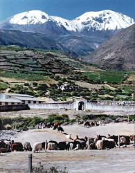11 Mountain Peaks towering over the Chilean town of Parinacota 800