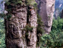 15 Zhangjiajie National Forest Park in China 800