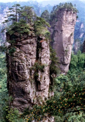 15 Zhangjiajie National Forest Park in China 800