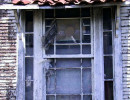 22 Due for a coat of paint in La Libertad  El Salvador 800