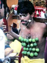 14 Thaipusam  a religious burden 800