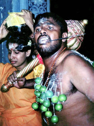 27 Totally tranced  800