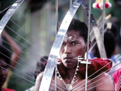 29 Carrying a heavy load 800