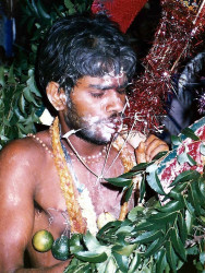 38 In his own little world 800