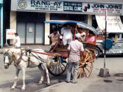 42  Horse carriage in the Philippines 800