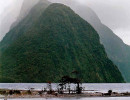 68 Entrance to Milford Sound on the South Island of New Zealand 800
