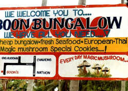 8 Boon Bungalow Billboard in Thailand 800