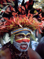 18 Got his Feathers All Ruffed Up  800