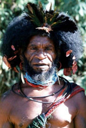 70 Coming upon a Huli Wigman on the trail 800