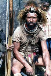 83 Holding onto some longed tipped arrows 800