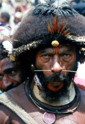 104. Painted Huli Wigman Warrior 800