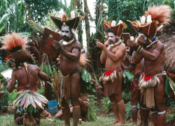 114.  Primping for the Ball 800