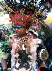 118.  Going Disco 800