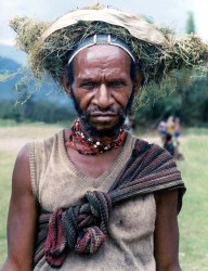 91 Bird Nest Man in the Highlands 800