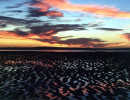 24 Sun setting at low tide over the South China Sea in Malaysia 800