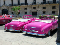 1950 Chevrolet Deluxe Convertibles 800