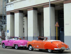 1950 and 1949 Chevrolet Convertibles 800