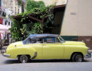 1951 chevy converrtible in havana 800