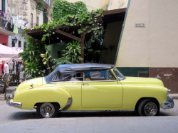 1951 chevy converrtible in havana 800