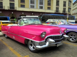 1955 cadillac in havana. cuba 800