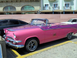 1955 dodge coronet in havana 800
