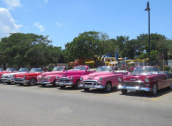 classic cars of havana 800