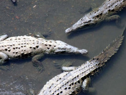 39 We wish you were here 800