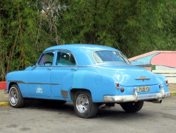 1951 chev in vinales 800