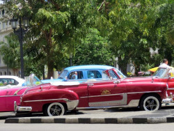 1951 chevrolet deluxe taxi 800