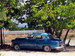 1952 chevy parked at the beach in trinidad 800