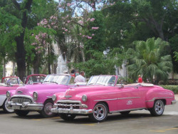 1953 chevrolet convertible parked in havana 800