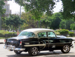 1953 chevy bel air at a havana park 800