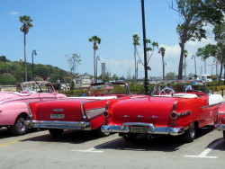 1957 chevy and 1954 olsmobile  side by side 800
