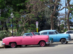 a pair of old chevy s 800