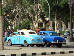 old ford and chevy  side by side 800