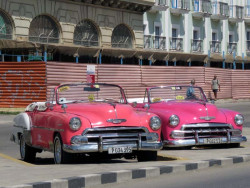 paiar of early 1950 s chevy taxis in havana 800
