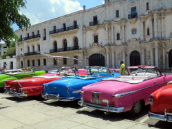 rainbow of taxis in havana 800
