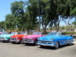 still driving in the 1950 s in cuba 800