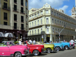 taxis lined up in old havana 800