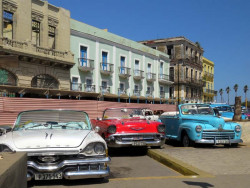 taxis parked along the street in havana 800
